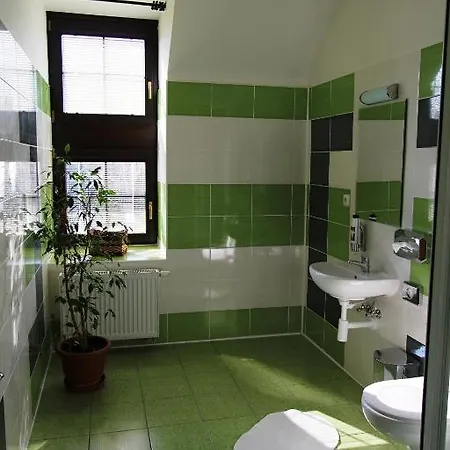 U Svateho Jana Gasthuis 3*