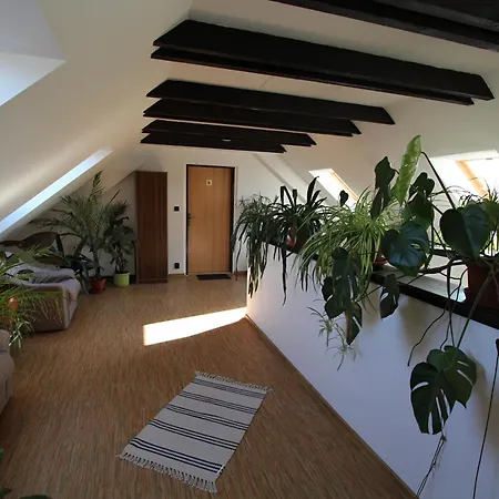 Gasthuis U Svateho Jana Hradec Králové